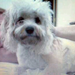 bailey 001.cropped.jpg
